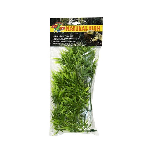 Small Madagascar Bamboo