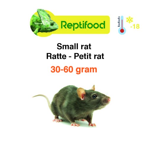 Rat sevré congelé 30-60g 5 pcs.