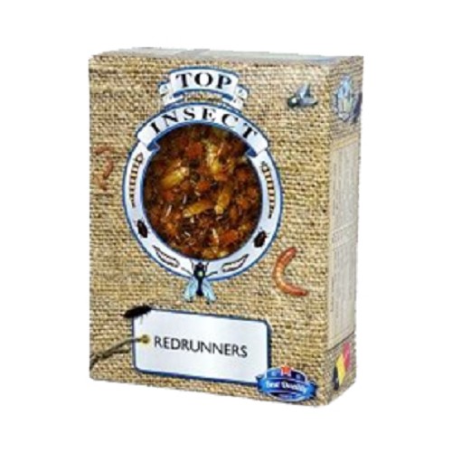 Grillons congelés 1000 ml