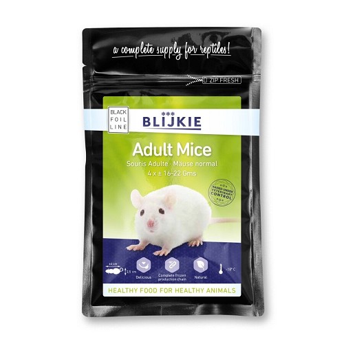 Blijkie souris congelée adulte 16-22gr (4 pièces)