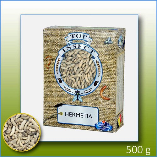 Hermetia (Larve de soldat noir / Vers de calcium) congelé 1000 ml.