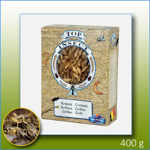 Grillons congelés 1000 ml