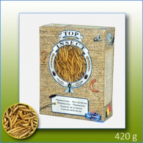 Vers de farine en boîte 1000 ml