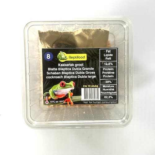 Blatte BD adulte en boîte