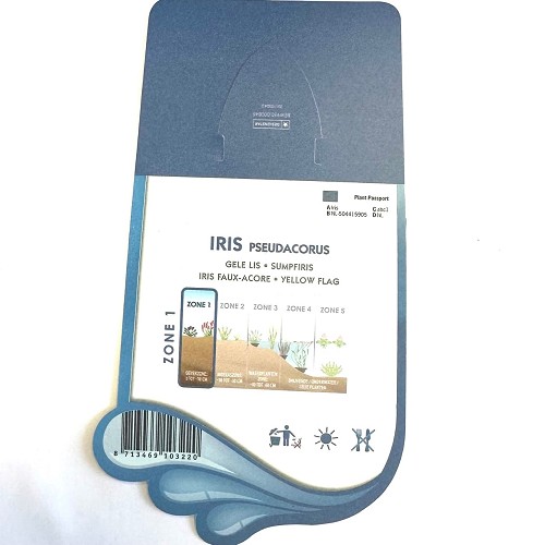 Iris pseudacorus - Gele lis