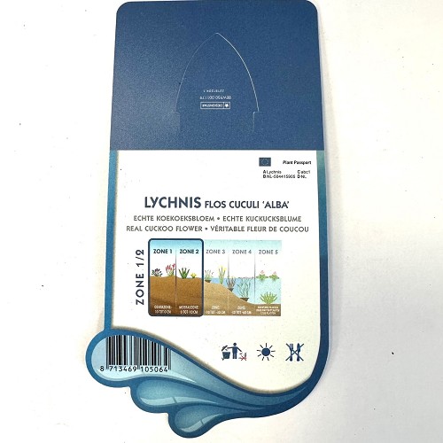 Lychnis flos cuculi 'alba'- Echte koekoe