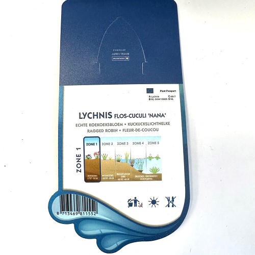 Lychnis flos cuculi 'nana'' -koekoeksblo