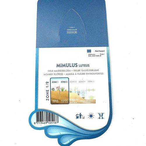 Mimulus luteus - Gele maskerbloem