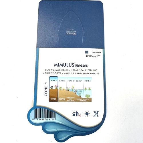 Mimulus ringens - Blauwe maskerbloem