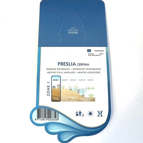 Preslia cervina-Engelse watermunt