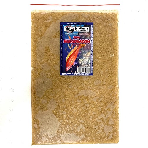 Vers de vase blanc congelé 500 gr.